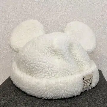 디즈니 팬캡 미키 보아