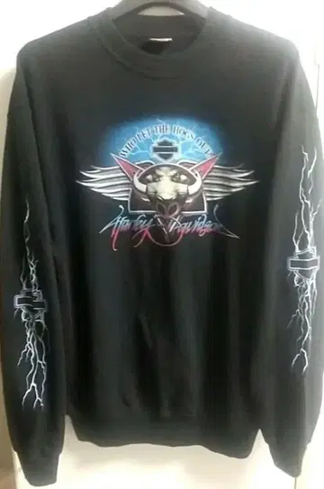00s HARLEY DAVIDSON 썬더 라이트닝 유로 구제 의류