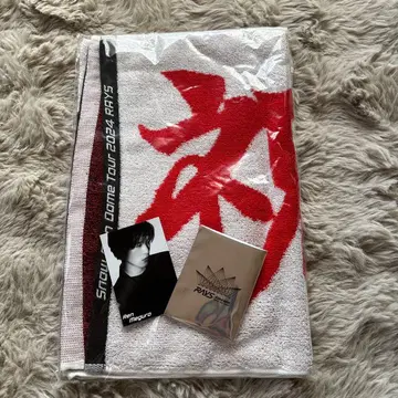 Dome Tour 2024 RAYS 타월 세트