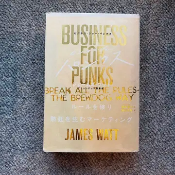 비즈니스 포 펑크스: 규칙을 깨고 열광을 만드는 마케팅