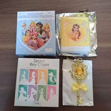 디즈니 프린세스 미니 앨범 키링과 시크릿 키체인 세트