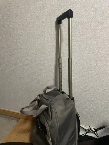 그레이 캐리온 보스턴 백