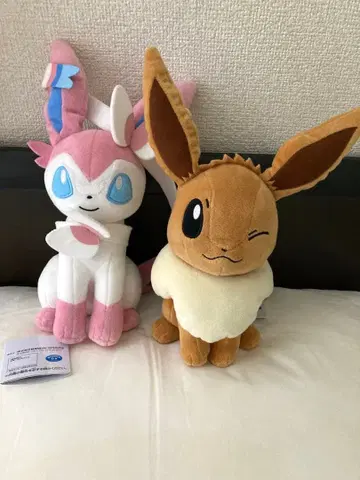 포켓몬스터 니피아&이브이 세트