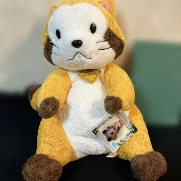 너구리 라스칼 봉제 인형 세계 명작 극장 레트로