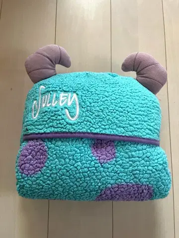 TDR 몬스터 주식회사 샐리 후드 부착 4way 담요