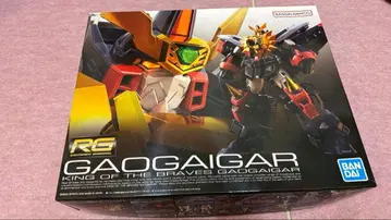 RG GAOGAIGAR 가오가이거