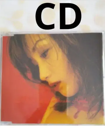 혼다 미나코 Honey