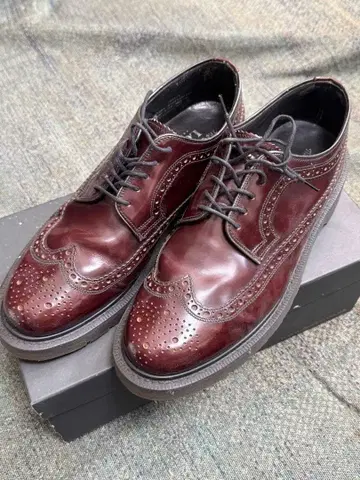 LOAKE x mackdaddy 체스터 윙팁