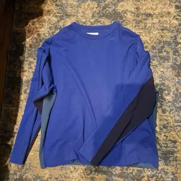 Evisen Skateboards 긴팔 티셔츠 파랑