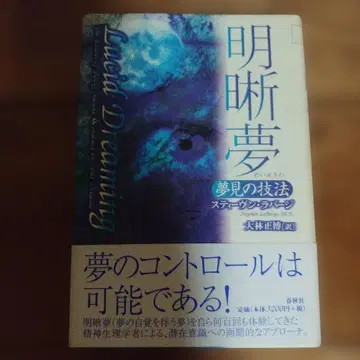 명료몽 꿈꾸는 기술