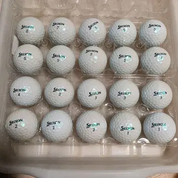 로스트볼 Z-STAR 펄 19년 20구