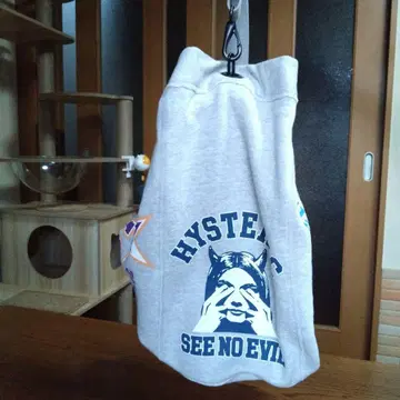 HYSTERIC GLAMOUR 음악 테마 숄더백