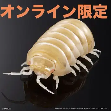 생물대도감 어드밴스 알비노 둥근벌레 중페인팅판 온라인판