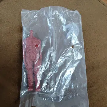 진격의 거인 지진 피규어