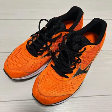 미즈노 웨이브 라이더