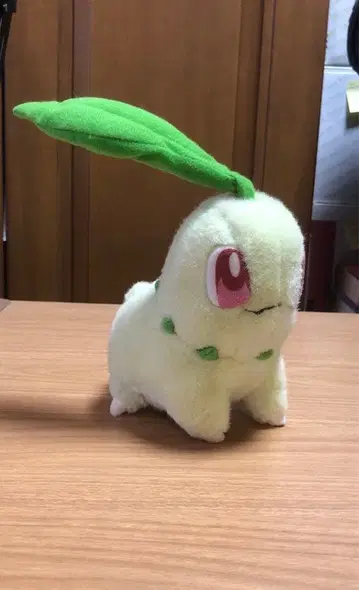 포켓몬 센터 봉제 인형 치코리타