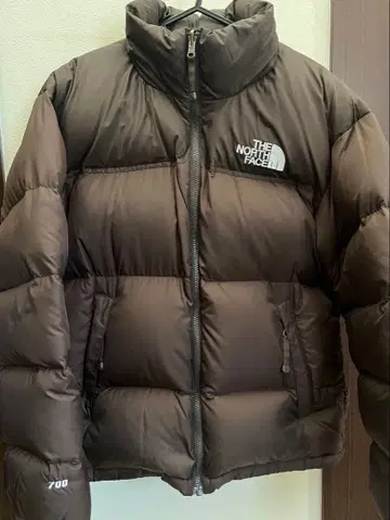 THE NORTH FACE 브라운 다운 자켓