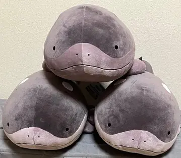 포켓몬 메챠모후굿토 봉제 인형 도오 3세트