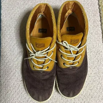 오니츠카타이거