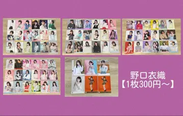 [ 1장 300엔~ ] 노구치 이오리 브로마이드