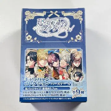 돌지 않는 별의 스테라리움 캐릭터 배지 컬렉션 벌스데이 캔뱃지 1BOX