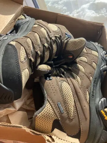 MOAB 3 SYN MID GTX 9.5