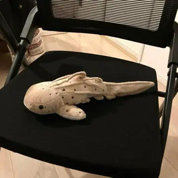 트라프 아쿠아 봉제 인형 상어