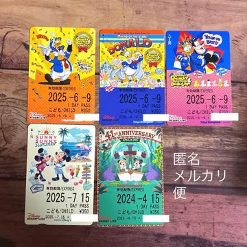 디즈니 리조트 라인 프리 티켓 정리 기간 만료