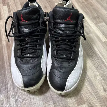 Jordan12 골프화