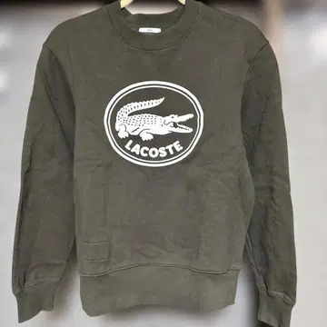 LACOSTE 올리브 크루넥 트레이닝복