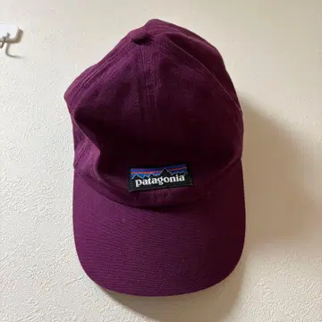 patagonia 퍼플 캡
