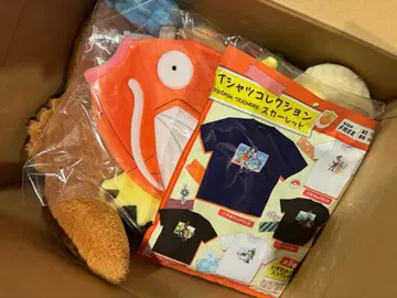 피카피카 박스 2026 포켓몬 센터 온라인