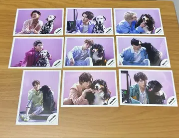 SnowMan 공식 사진 9장 세트