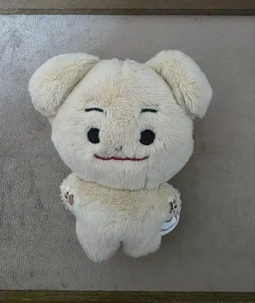 ENHYPEN 제이크 봉제 인형 10cm