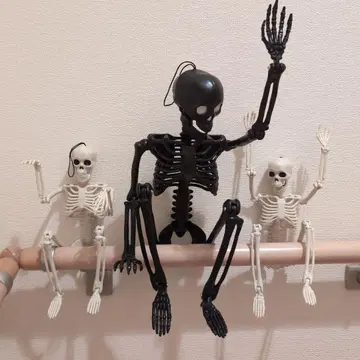 해골 피규어