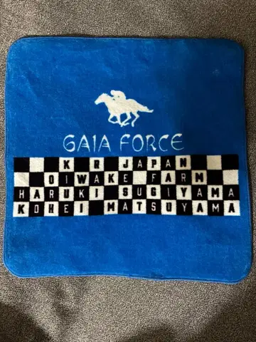 가이아포스 GAIA FORCE 체크 무늬 손수건