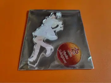 사카카와 히카 AKB48 스페셜 복권 아크릴 스탠드 일본 무도관