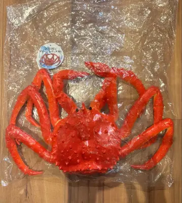 타라바가니 액션 피규어 BIG