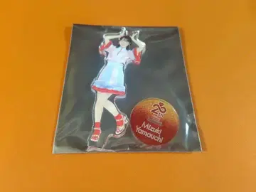 야마우치 미즈키 AKB48 SPECIAL 복권 아크릴 스탠드 일본 무도관