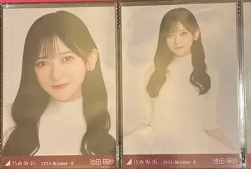 이케다 에이사 세미컴프 벌룬 스커트 요리츄