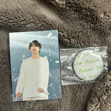 SEVENTEEN follow fellow 정한 캔뱃지 트레이딩 카드