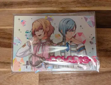 스타오케 폴라리스 리플렉터 키링 (엽서 포함)