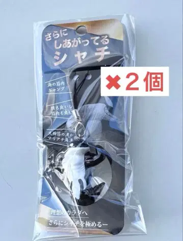 더욱 완성된 범고래 스마 씨월드 키링 스트랩 2개