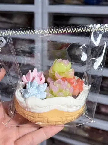 포동포동 다육이 화분 스퀴즈