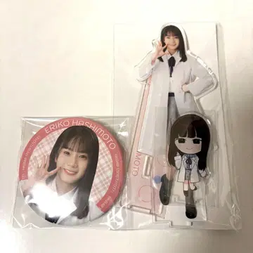 AKB48 하시모토 에리코 17 연구소 아크릴 스탠드, 캔뱃지 세트