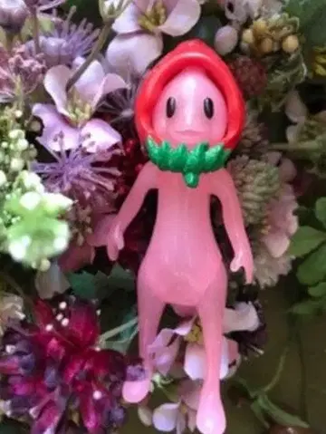 노이엘 포레스트 프렌드 딸기 사람의 프레사 원더 프렌드