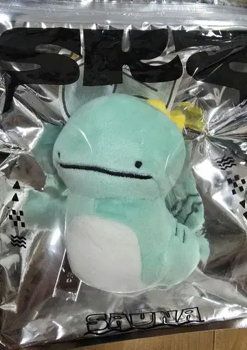 [ 익명 배송 ] 차니드라 백참