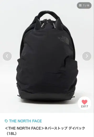 THE NORTH FACE 네버 스톱 데이팩 (18L)