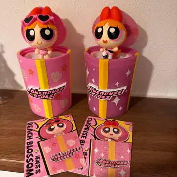 파워퍼프걸 서프라이즈 블라썸 팝마트