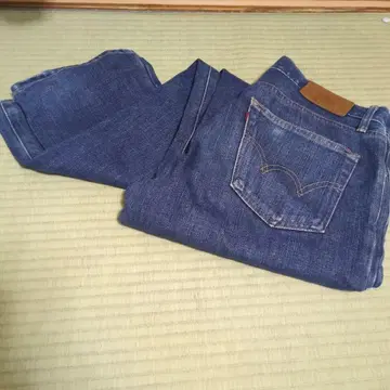 EDWIN 511RVW GORE Wind Stopper 소재 W31